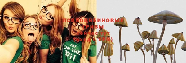 метадон Гусь-Хрустальный