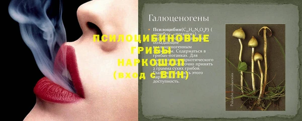 стаф Гусев