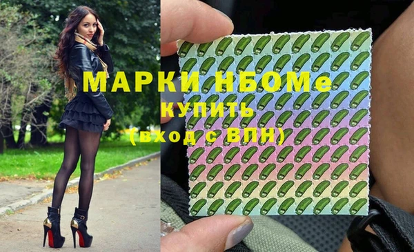 стаф Гусев