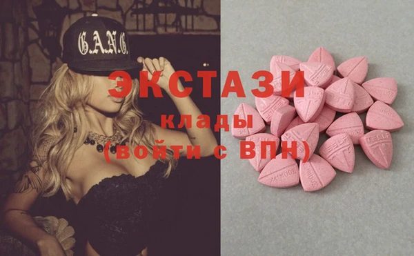 стаф Гусев