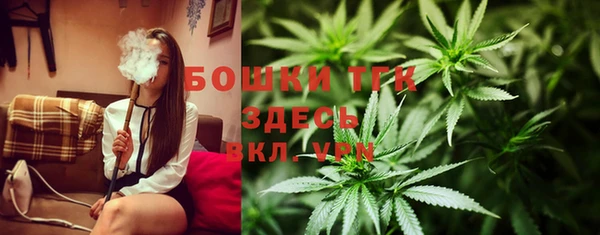 метадон Гусь-Хрустальный